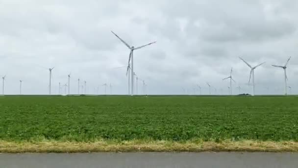 Widok Jadącego Samochodu Dużych Turbin Wiatrowych Dużej Farmie Wiatrowej Północnych — Wideo stockowe