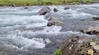 İzlanda 'da akan nehirlerle, kayalarla ve otlarla dolu harika bir manzara..