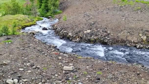 Paysage Fantastique Avec Des Rivières Des Ruisseaux Fluides Avec Des — Video