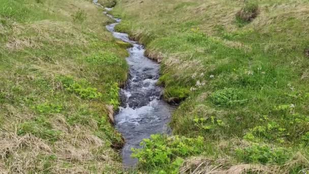 Fantastisch Landschap Met Stromende Rivieren Beken Met Rotsen Gras Ijsland — Stockvideo