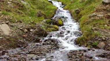 İzlanda 'da küçük bir dere yeşil bir çayır boyunca akar..
