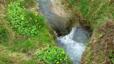 İzlanda 'da küçük bir dere yeşil bir çayır boyunca akar..