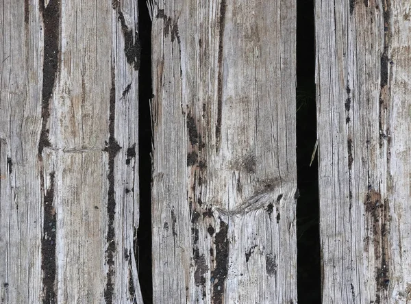 Vintage Background Texture Very Old Wooden Planks Wood Concept — Stock Photo, Image