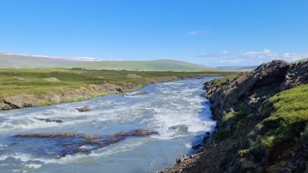 Пейзаж Текучими Реками Ручьями Скалами Травой Исландии — стоковое видео