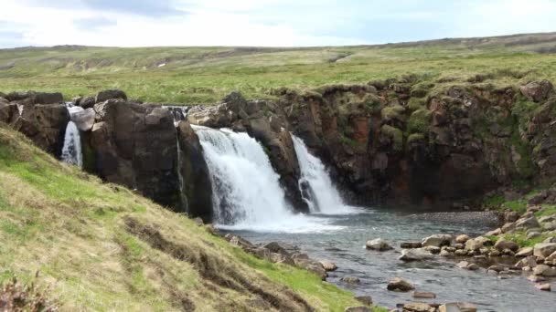 Fantastic Godafoss Waterfall Iceland Rocks Grass — ストック動画