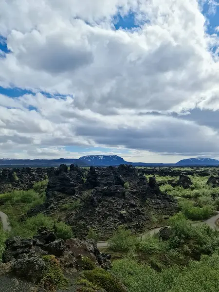 View Lava Fields Volcanic Eruption Iceland — ストック写真