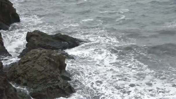Strong Surf Basalt Rocks Dyrholaey Iceland — ストック動画