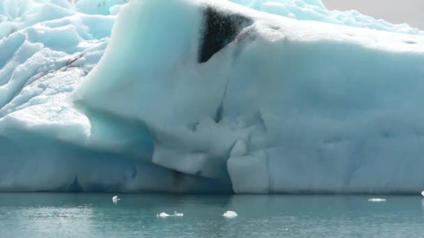 Islanda Laguna Jokulsarlon Iceberg Turchesi Galleggianti Nella Laguna Del Ghiacciaio — Video Stock