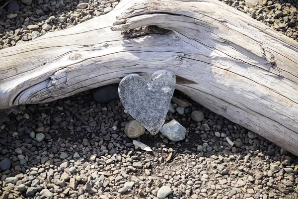 Heart Ice Leaning Tree Trunk — Stok fotoğraf
