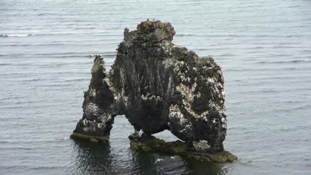 Spectacular Rock Hvitserkur Iceland Ocean Tourist Hotspot — Stock Video