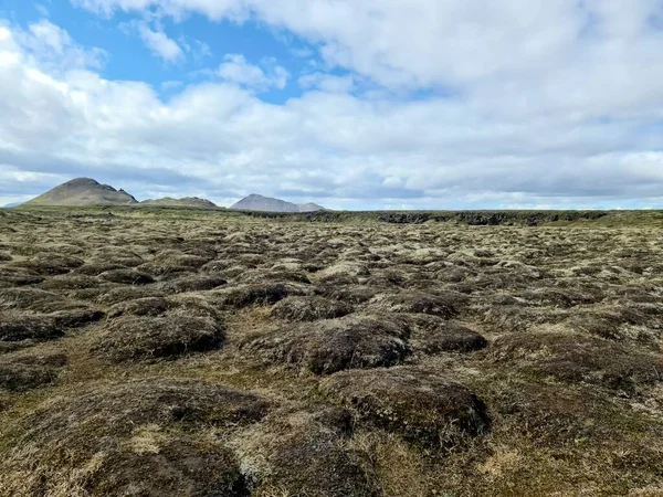 View Dry Landscape Iceland Myvatn Rocks Mountains — ストック写真