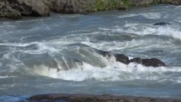 Paysage Fantastique Avec Des Rivières Des Ruisseaux Fluides Avec Des — Video