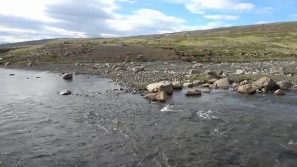 Fantastisch Landschap Met Stromende Rivieren Beken Met Rotsen Gras Ijsland — Stockvideo