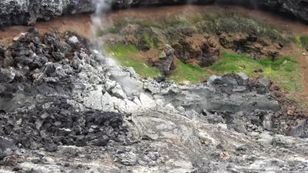 Unreal Volcanic Landscape Iceland Steaming Rocks Volcano — ストック動画