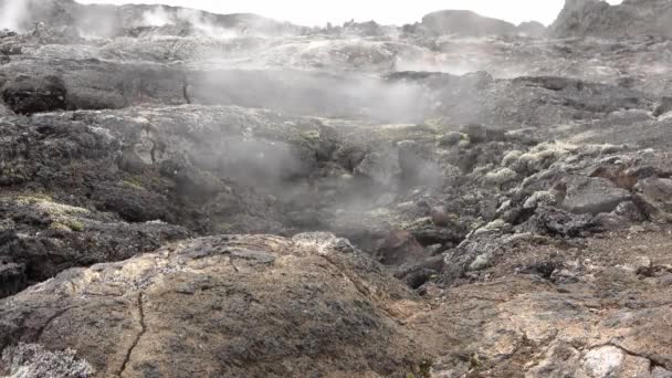 Unreal Volcanic Landscape Iceland Steaming Rocks Volcano — Vídeo de Stock