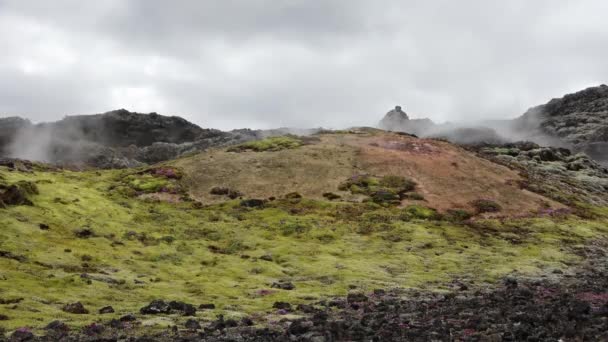 Nierzeczywisty Krajobraz Wulkaniczny Islandii Parującymi Skałami Wulkanie — Wideo stockowe