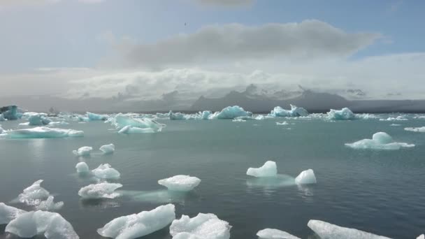 Islandia Jokulsarlon Lagoon Turkusowe Góry Lodowe Pływające Lagunie Lodowcowej Islandii — Wideo stockowe