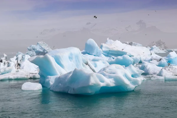 Izland Jokulsarlon Lagúna Izland Gleccserlagúnájában Úszó Türkiz Jéghegyek — Stock Fotó