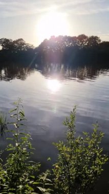 Yansıtıcı su yüzeyi olan güzel bir göl manzarası.