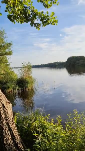 Hermoso Paisaje Lago Con Una Superficie Agua Reflectante — Vídeos de Stock