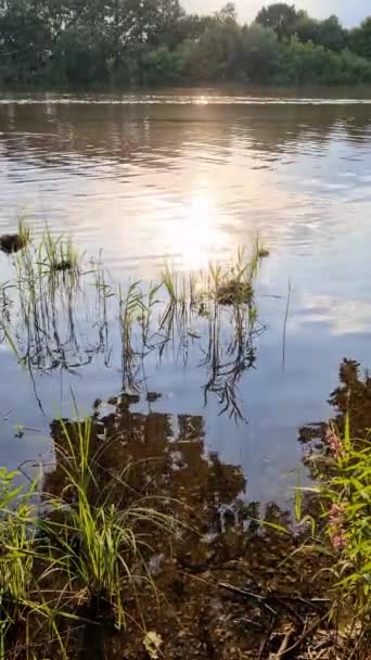 Beautiful Landscape Lake Reflective Water Surface — Stock Video