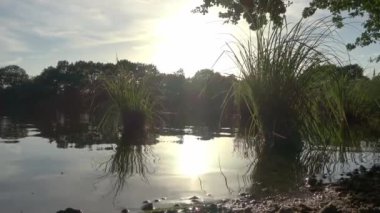 Beautiful view at a lake with the light of the sunset on the water surface.