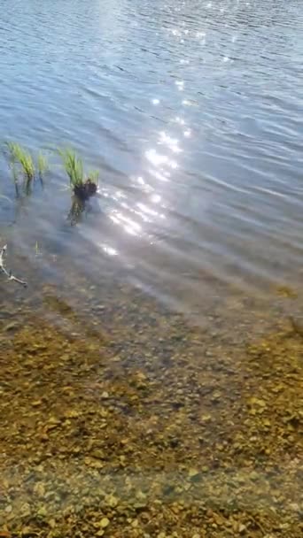 湖中美丽的风景 水面倒映着反光 — 图库视频影像