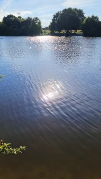 Hermoso Paisaje Lago Con Una Superficie Agua Reflectante — Vídeos de Stock