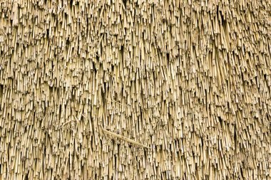 Close up view at the surface of golden straw
