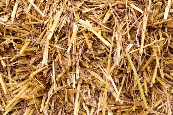 Close View Surface Golden Straw — Stockfoto