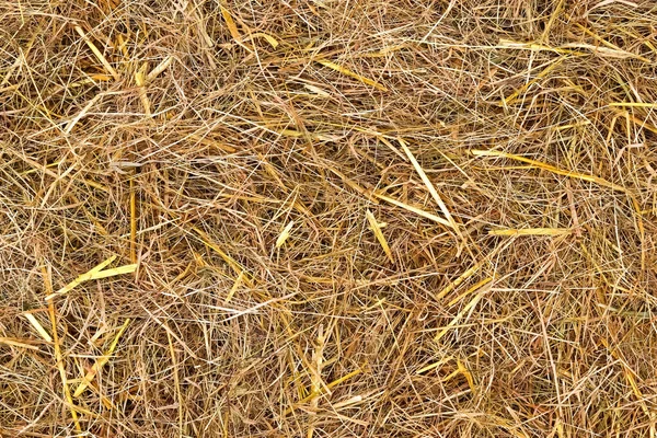 Close View Surface Golden Straw — Stockfoto