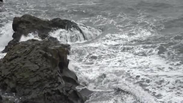Intense Surf Basalt Rock Coast Iceland Dyrholaey — ストック動画