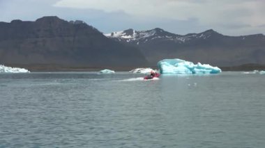 İzlanda, Jokulsarlon Gölü, İzlanda 'daki Buzul Gölünde yüzen Turkuaz buzdağları.