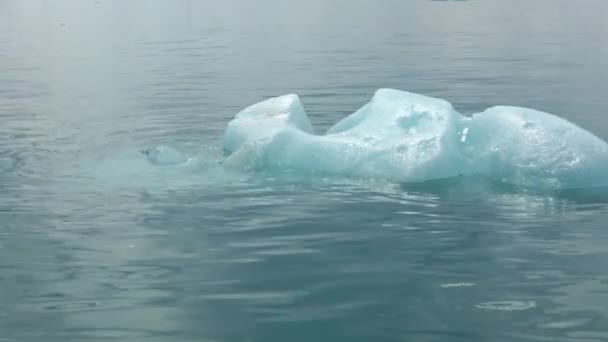 Zlanda Jokulsarlon Gölü Zlanda Daki Buzul Gölünde Yüzen Turkuaz Buzdağları — Stok video