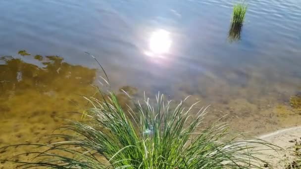 Beautiful View Lake Reflective Water Surface — Vídeos de Stock