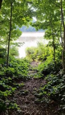 Movement onto a lake in the sunshine with trees on the shore