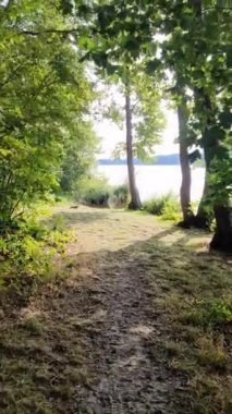 Movement onto a lake in the sunshine with trees on the shore