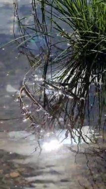 Yansıtıcı su yüzeyi olan güzel bir göl manzarası.