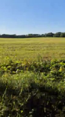 View of an agriculturally used field while driving along.