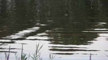 Su yüzeyinde ışık ve bulutları yansıtan küçük dalgalar var..