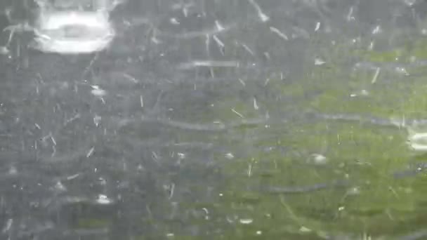 Βροχή Πέφτει Τρέχει Κάτω Από Ένα Παράθυρο Μια Κοντινή Προβολή — Αρχείο Βίντεο