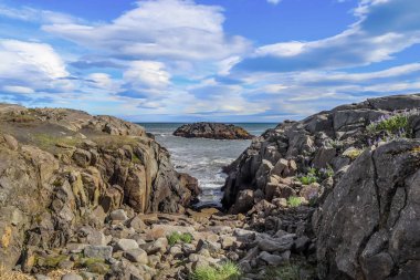 İzlanda 'da siyah kumlu kayalık bir sahilde sörf.