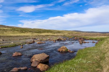 İzlanda 'da akan nehirlerle, kayalarla ve otlarla dolu harika bir manzara. 