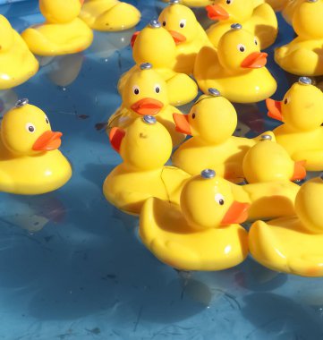 Seçici odaklanma. Bir sürü sarı plastik ördek havuzda daireler çiziyor.