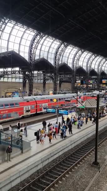 Hamburg Almanya Eylül 2022 Hamburg Ana Istasyonuna Bir Sürü Tren — Stok video