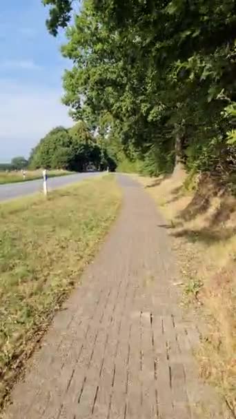 Vista Uma Pequena Estrada Uma Floresta Uma Bicicleta Condução — Vídeo de Stock