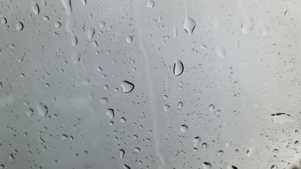 Regn Droppar Som Rinner Ner Ett Fönster Närbild — Stockvideo