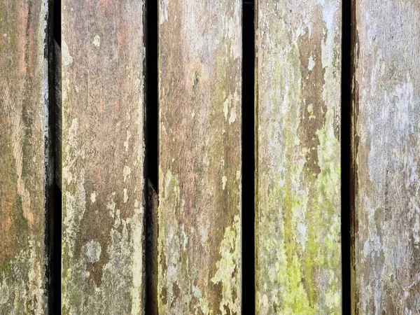 高解像度での板ログや木製の壁を示す異なる木材表面上の詳細なクローズアップビュー — ストック写真