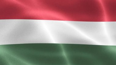 Macaristan bayrağı - gerçekçi kumaş bayrağı