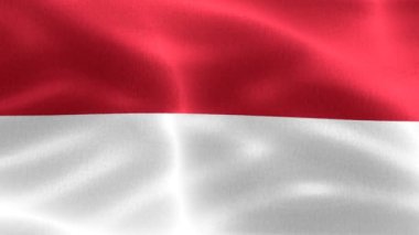 Monako bayrağı - gerçekçi kumaş bayrağı